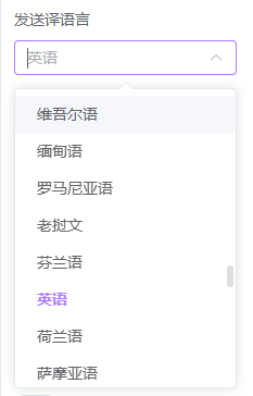 多语种全覆盖